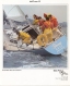 Crown 34 Brochure Page 4