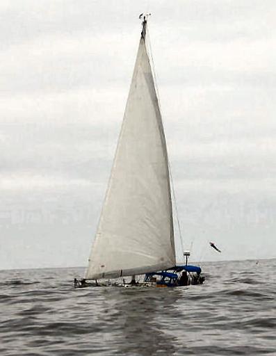 Adiyoes.jpg - Adiyoes in ocean swells of the Washington coast